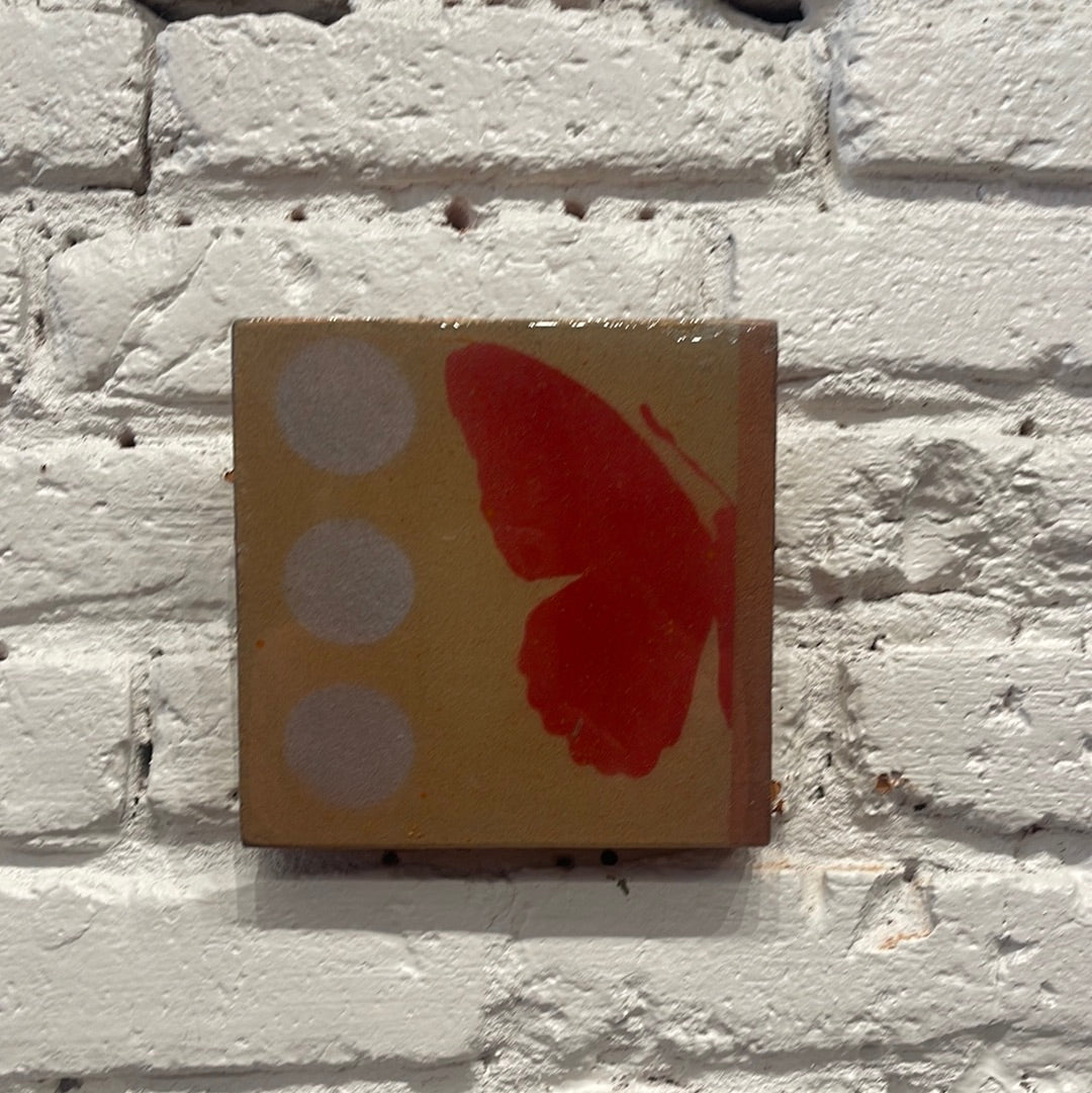 6X6 THIN