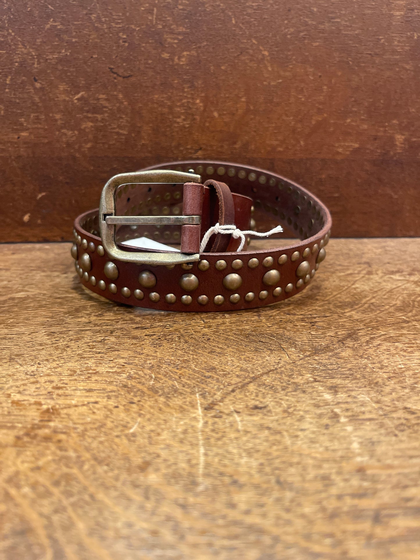 WTF SOLA STUD BELT / COGNAC
