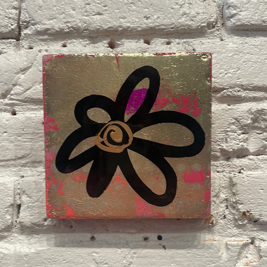 6X6 THIN