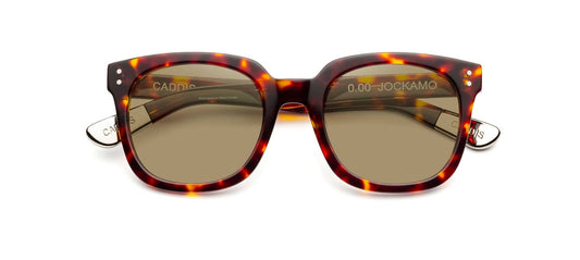 JOCKAMO TURTLE POLARIZED BRONZE