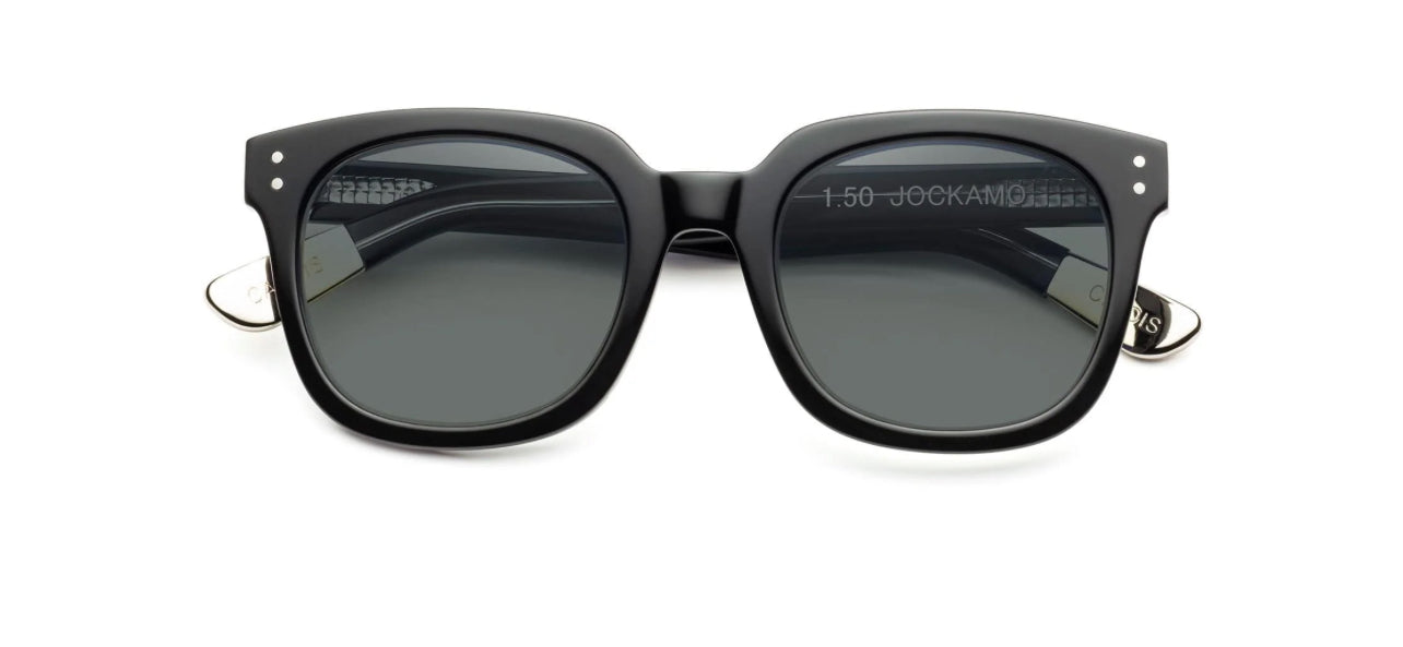 MISTER CARTOON DARK METALLIC GREY POLARIZED GREY