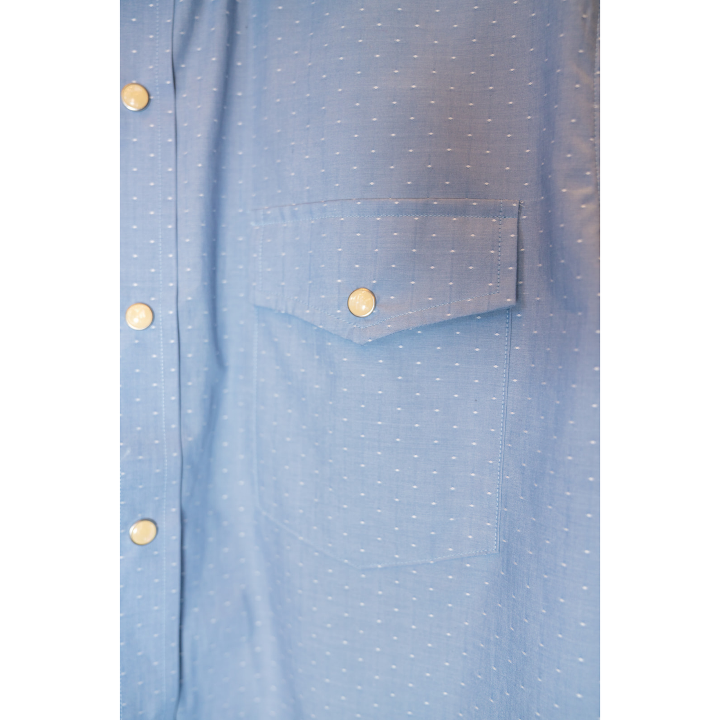 Buck Off SS Pearl Snap Shirt (Summer Chambray Dot)